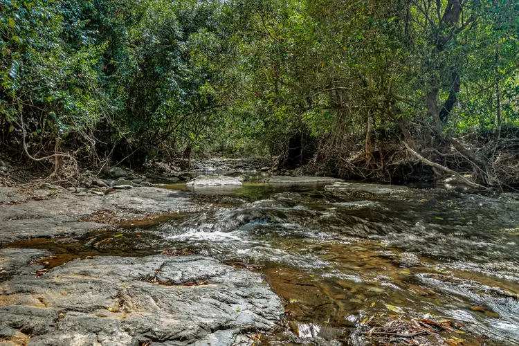 Third view of Homely rural property listing, 686 Craven Creek Road, Rookhurst Via, Gloucester NSW 2422