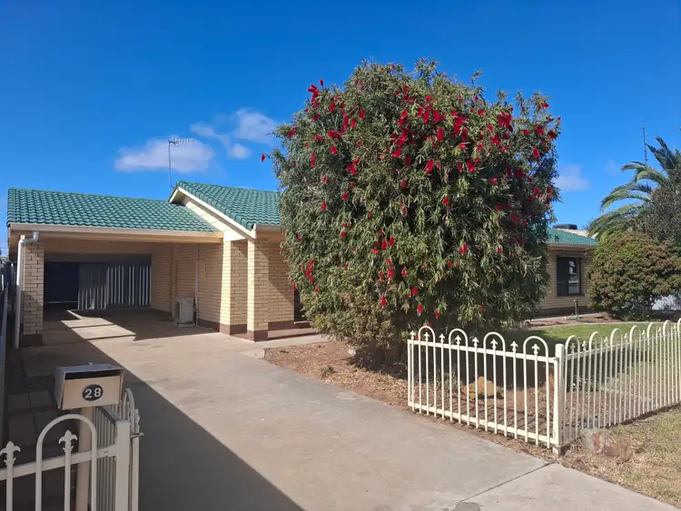 Second view of Homely house listing, 28 Hensley Street, Pinnaroo SA 5304