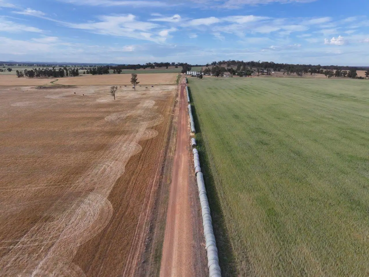 Main view of Homely rural property listing, 'Wyoming' 1079 Davidsons Road, Temora NSW 2666