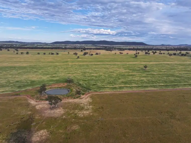 Second view of Homely rural property listing, 'Wyoming' 1079 Davidsons Road, Temora NSW 2666