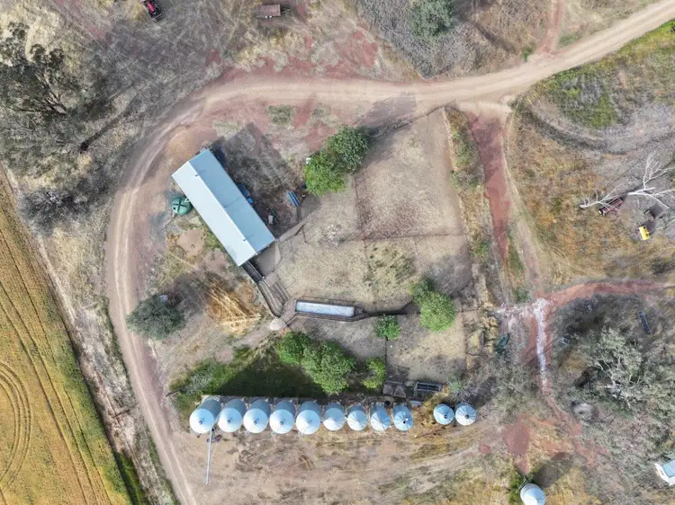 Sixth view of Homely rural property listing, 'Wyoming' 1079 Davidsons Road, Temora NSW 2666