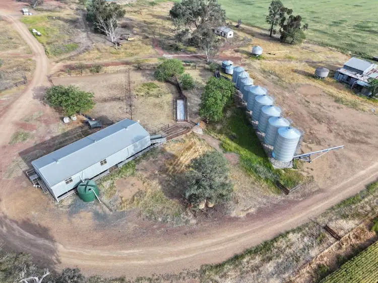 Seventh view of Homely rural property listing, 'Wyoming' 1079 Davidsons Road, Temora NSW 2666