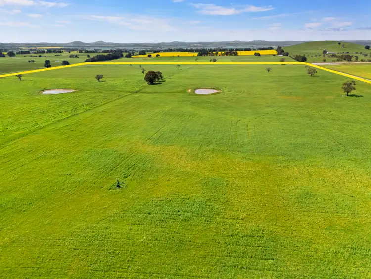 Fifth view of Homely rural property listing, CA E SEC4, CA F SEC4 Eastern Peake Road, Mount Bolton VIC 3352
