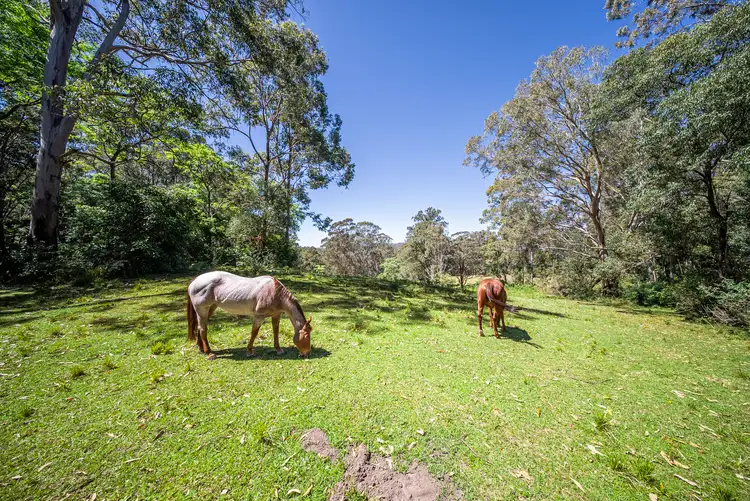 Fourth view of Homely rural property listing, 123 Parishs Road, Hilldale via, Dungog NSW 2420