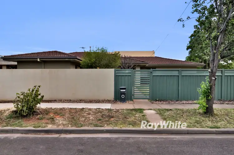 149 Twelfth Street, Mildura VIC 3500