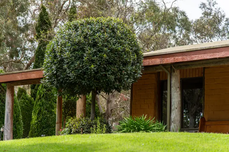 Third view of Homely rural property listing, 350 Repeater Station Road, Naracoorte SA 5271