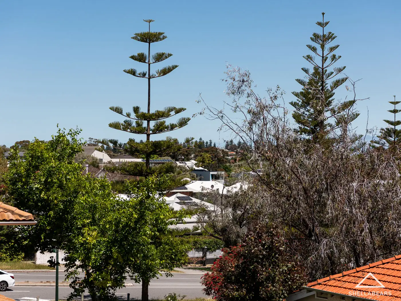 Main view of Homely apartment listing, 10/6 McNamara Way, Cottesloe WA 6011