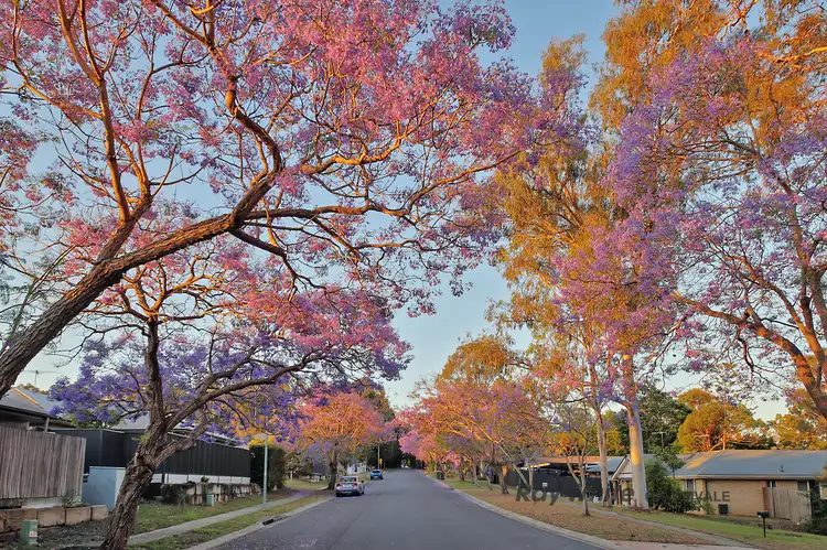 Second view of Homely house listing, 19 Tropical Drive, Forest Lake QLD 4078