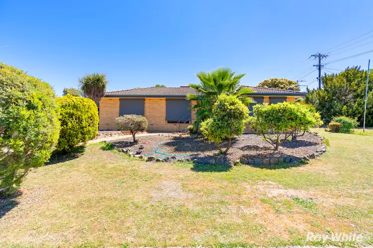 Second view of Homely house listing, 37 Merinda Crescent, Kooringal NSW 2650