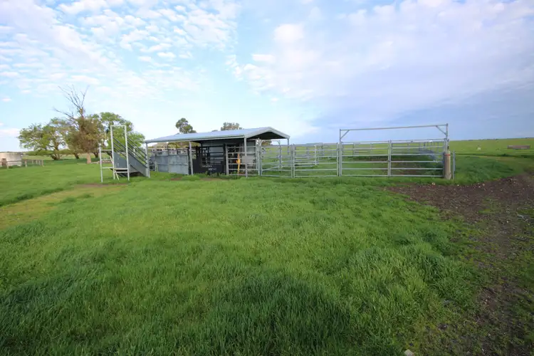 Second view of Homely rural property listing, 98 Sinclairs Road, Naracoorte SA 5271