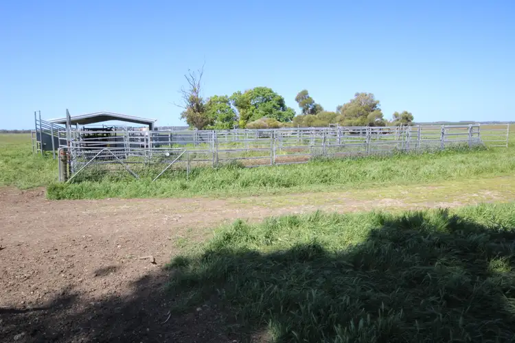 Third view of Homely rural property listing, 98 Sinclairs Road, Naracoorte SA 5271