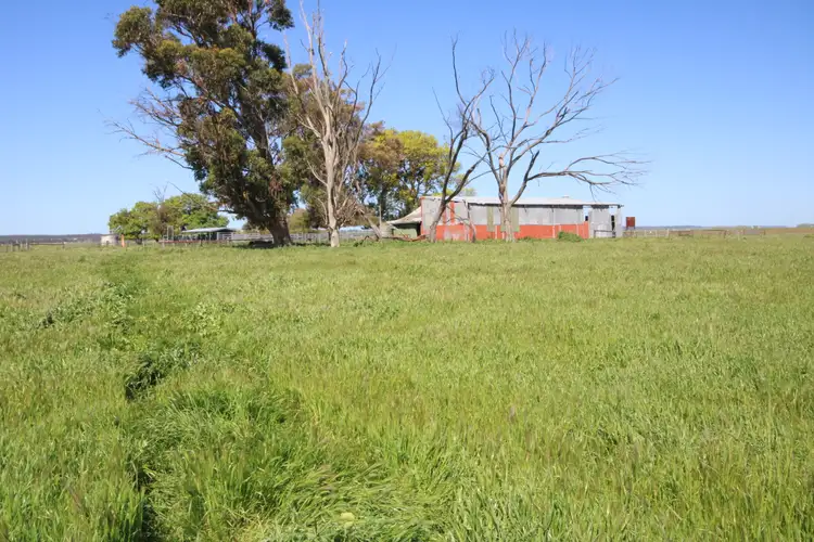 Fifth view of Homely rural property listing, 98 Sinclairs Road, Naracoorte SA 5271