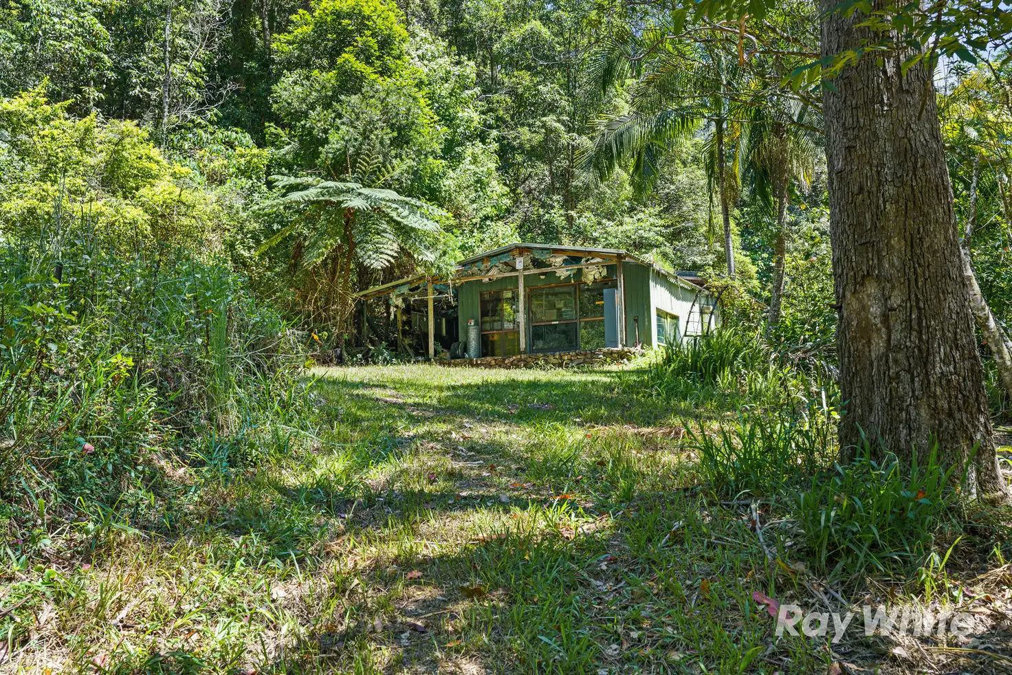 Main view of Homely rural property listing, 131 Porters Road, Upper Crystal Creek NSW 2484