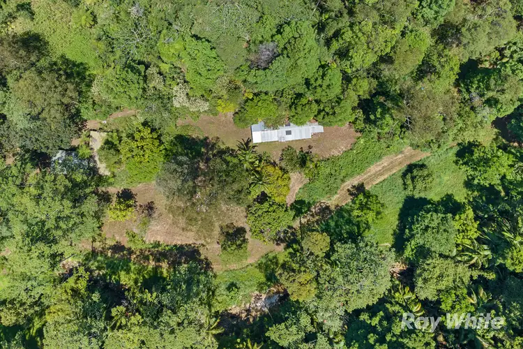 Fifth view of Homely rural property listing, 131 Porters Road, Upper Crystal Creek NSW 2484