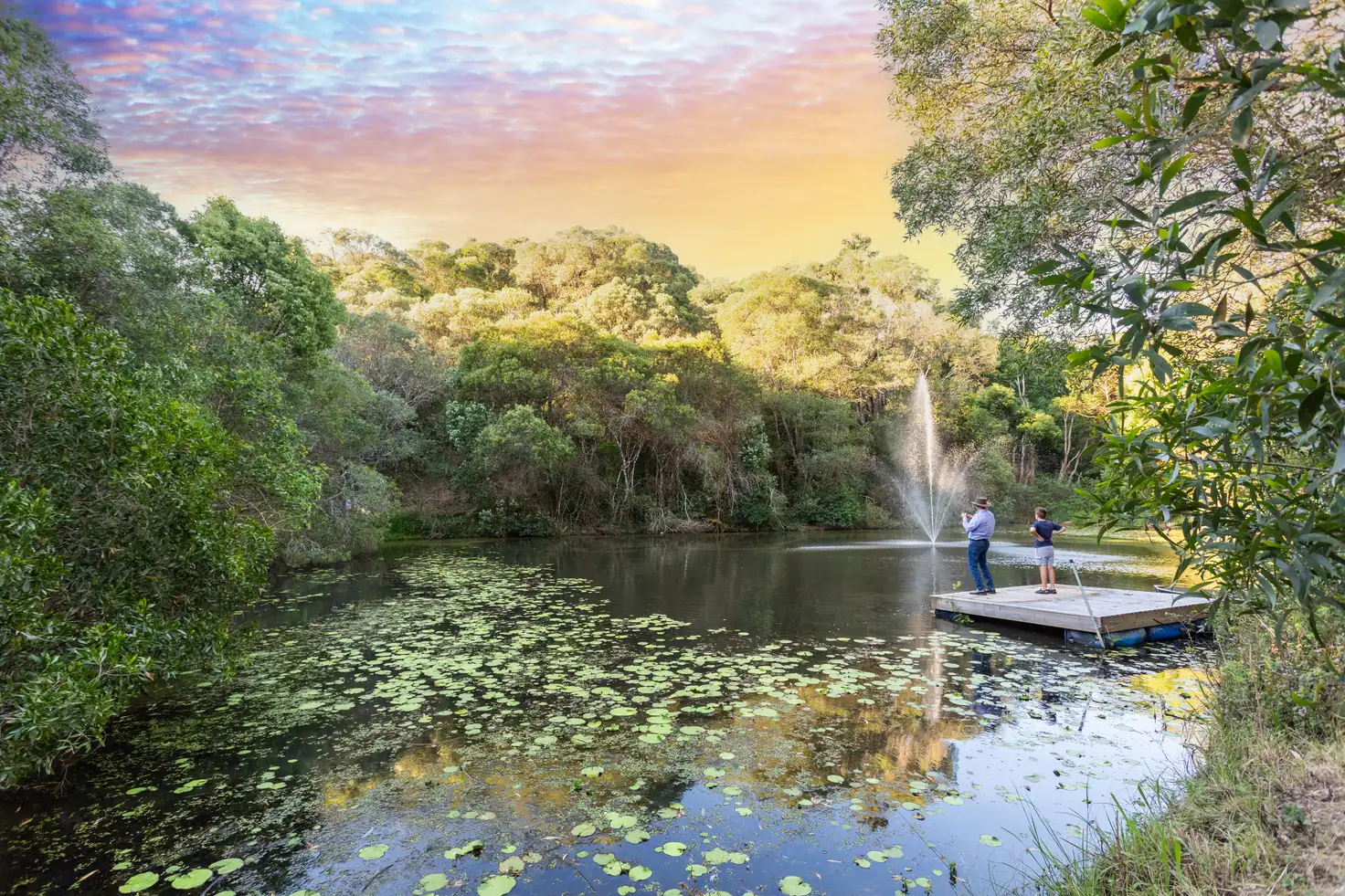 Main view of Homely house listing, 18 Brush Box Lane, Federal QLD 4568