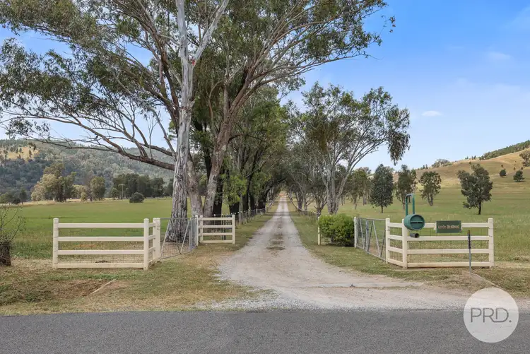 Second view of Homely rural property listing, 342 Garthowen Road, Attunga NSW 2345