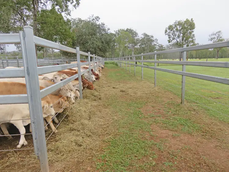 Fifth view of Homely rural property listing, Address available on request