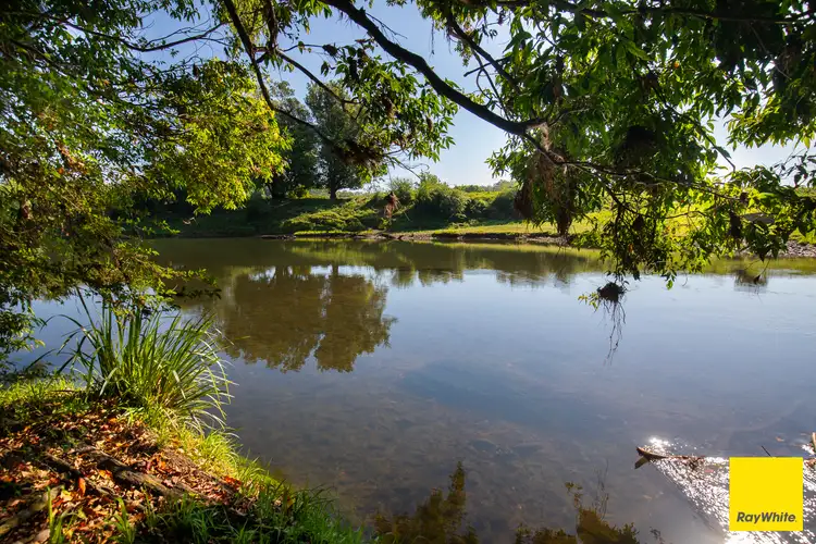 Second view of Homely rural property listing, 1531 Waterfall Way, Bellingen NSW 2454