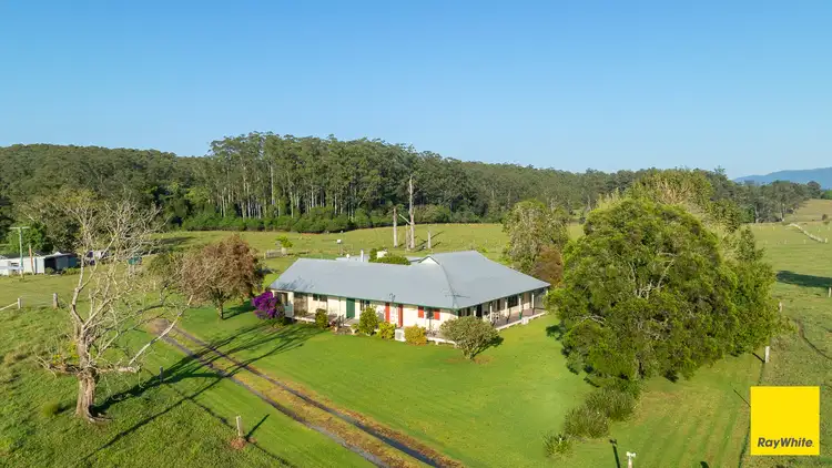 Fourth view of Homely rural property listing, 1531 Waterfall Way, Bellingen NSW 2454