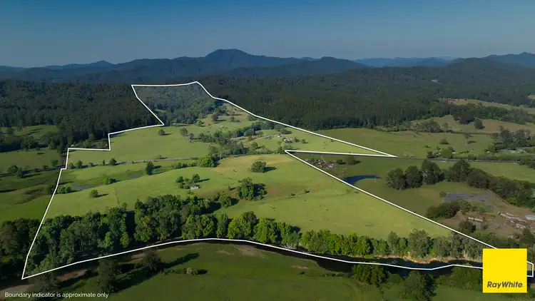 Sixth view of Homely rural property listing, 1531 Waterfall Way, Bellingen NSW 2454