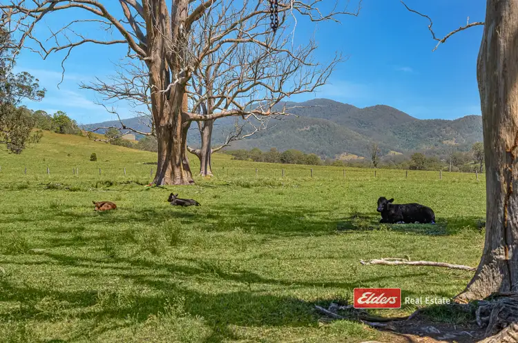 Fourth view of Homely rural property listing, 879 Bowman Farm Road, Bowman Farm via, Gloucester NSW 2422