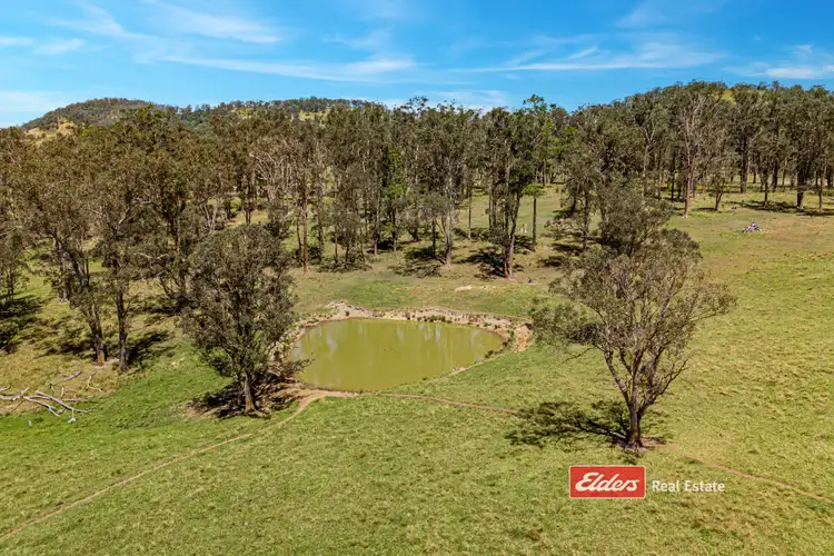 Fifth view of Homely rural property listing, 879 Bowman Farm Road, Bowman Farm via, Gloucester NSW 2422