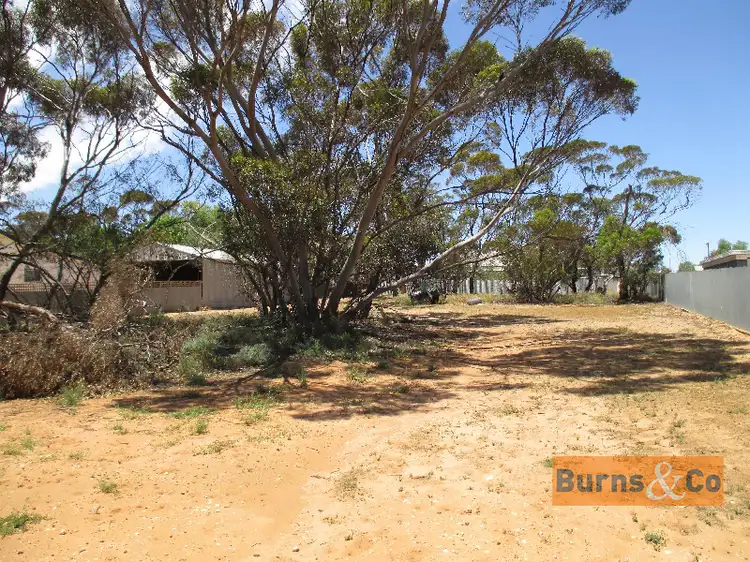 Main view of Homely land listing, 4 Carter Street, Speed VIC 3488