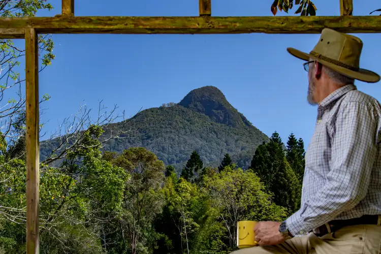 Second view of Homely rural property listing, 186 Palmers Road, Terragon NSW 2484