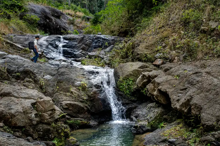 Fifth view of Homely rural property listing, 186 Palmers Road, Terragon NSW 2484