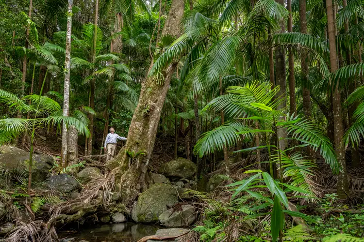 Sixth view of Homely rural property listing, 186 Palmers Road, Terragon NSW 2484