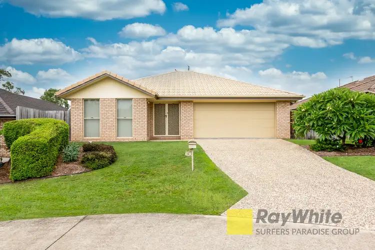 36 Pecan Drive, Upper Coomera QLD 4209