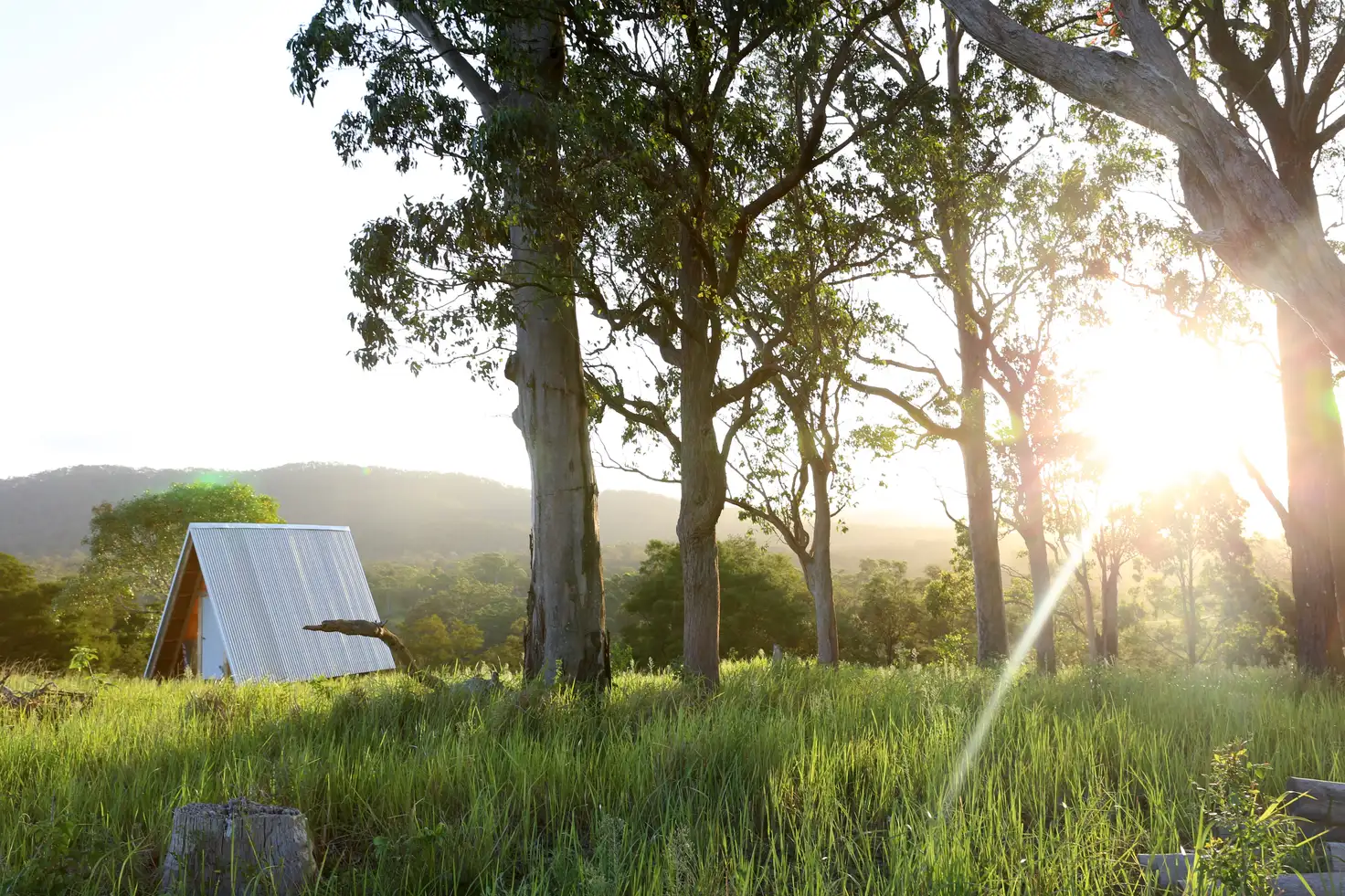 Main view of Homely rural property listing, 180 Norries Road, Bunyah NSW 2429