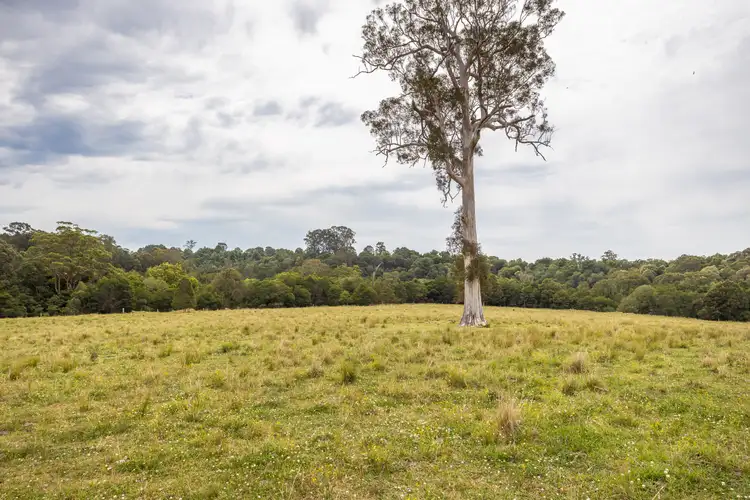 Second view of Homely rural property listing, 180 Norries Road, Bunyah NSW 2429
