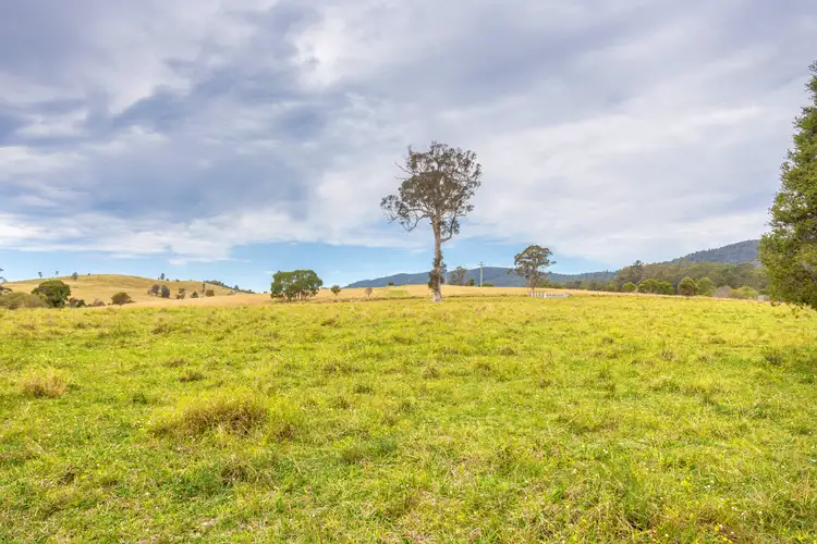 Fifth view of Homely rural property listing, 180 Norries Road, Bunyah NSW 2429
