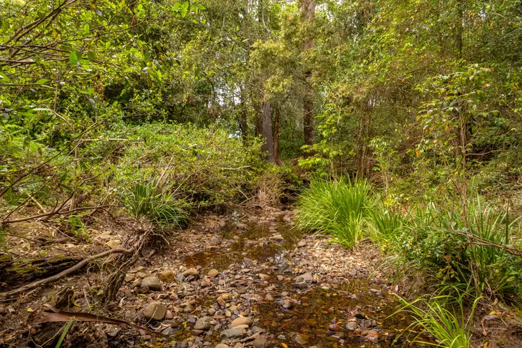 Sixth view of Homely rural property listing, 180 Norries Road, Bunyah NSW 2429