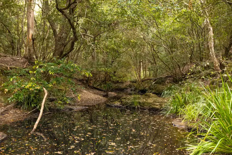 Second view of Homely rural property listing, 212 Norries Road, Bunyah NSW 2429