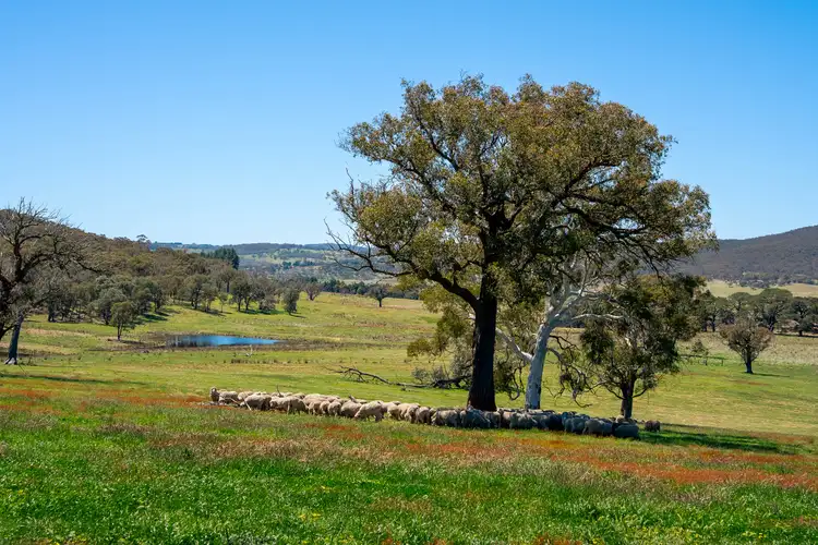 Fourth view of Homely rural property listing, 1513 Taralga Road, Tarlo Via, Goulburn NSW 2580