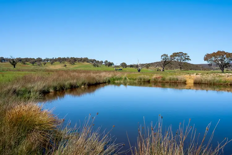 Sixth view of Homely rural property listing, 1513 Taralga Road, Tarlo Via, Goulburn NSW 2580