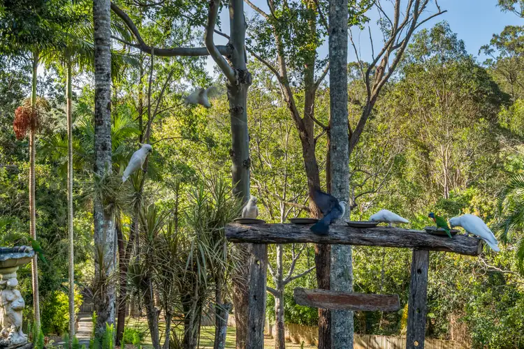 Sixth view of Homely house listing, 17-19 John Nielsen Court, Worongary QLD 4213