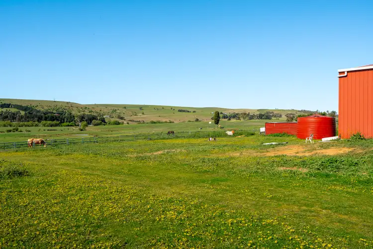 Fourth view of Homely rural property listing, 1556 Gurrundah Road, Parkesbourne Via, Goulburn NSW 2580