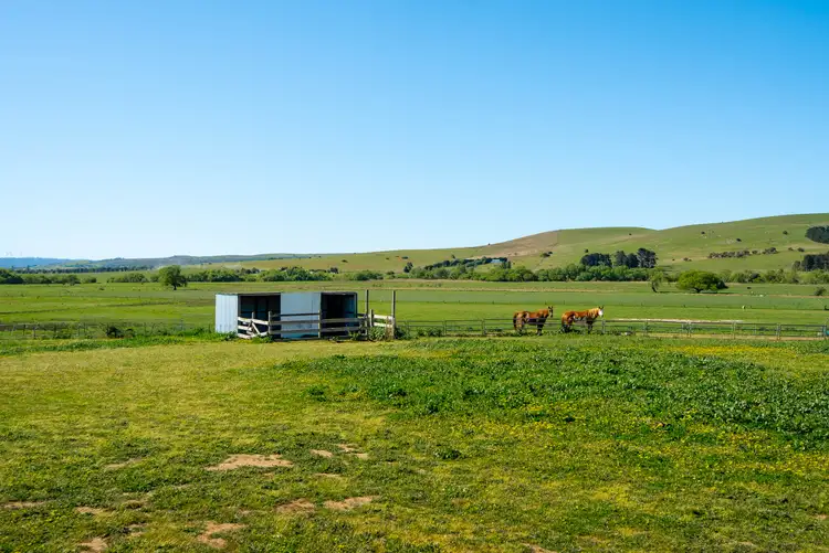 Seventh view of Homely rural property listing, 1556 Gurrundah Road, Parkesbourne Via, Goulburn NSW 2580