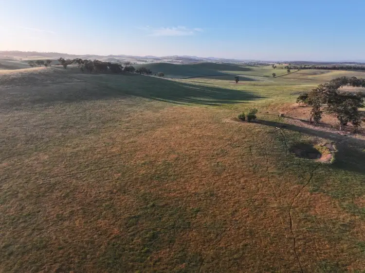 Fourth view of Homely rural property listing, 500 'Nunyara North' West Jindalee Rd, Cootamundra NSW 2590