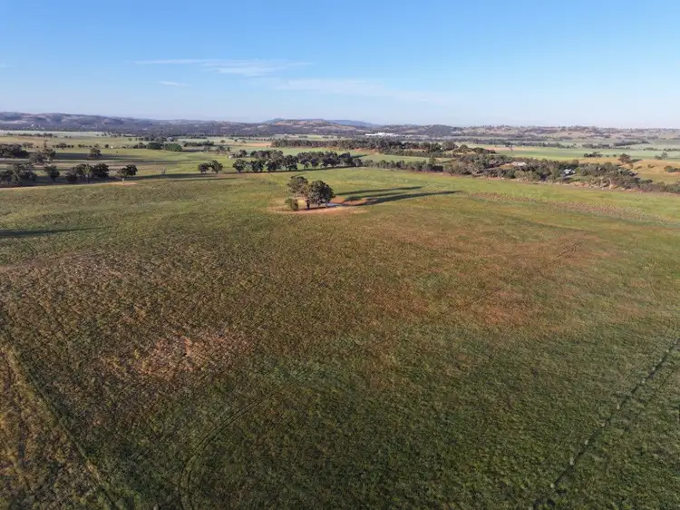 Fifth view of Homely rural property listing, 500 'Nunyara North' West Jindalee Rd, Cootamundra NSW 2590
