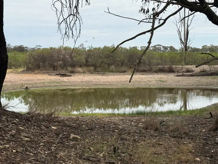 Fifth view of Homely rural property listing, 'The Backwoods' 1054 Burley Griffin Way, Temora NSW 2666