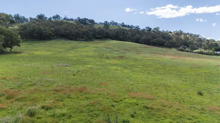 Third view of Homely rural property listing, Lot 1/180 Buffalo Creek Road, Myrtleford VIC 3737