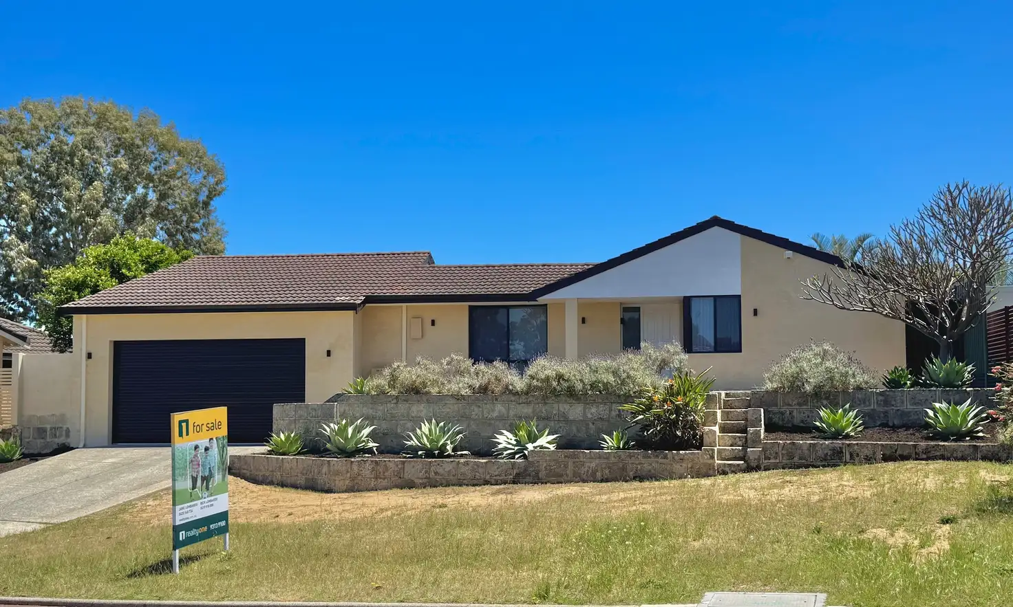 Main view of Homely house listing, 40 Petterson Avenue, Kardinya WA 6163