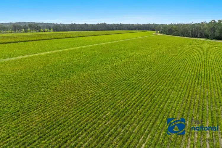 Fifth view of Homely rural property listing, Lot 1 and 2 Neileys Lagoon Road, Bungawalbin NSW 2469