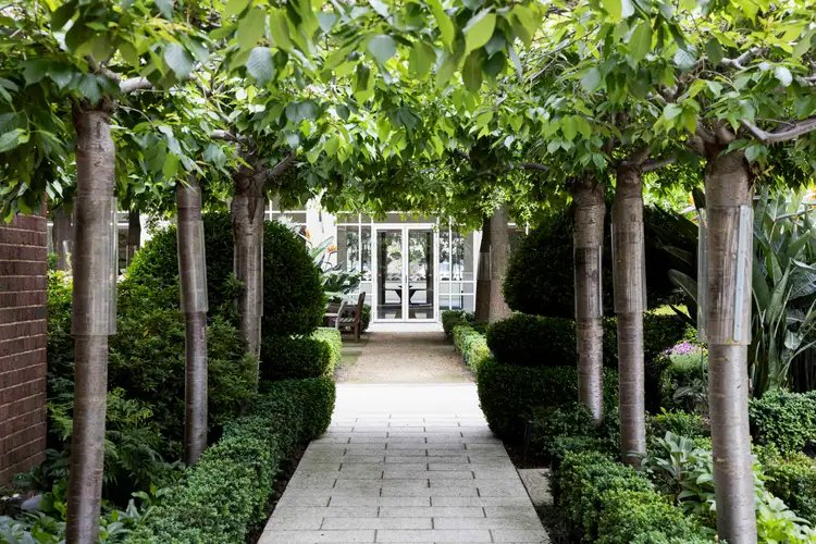 Second view of Homely retirement listing, 9/2 Malmsbury Street, Kew VIC 3101