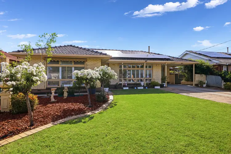 32 Myer Avenue, Plympton SA 5038