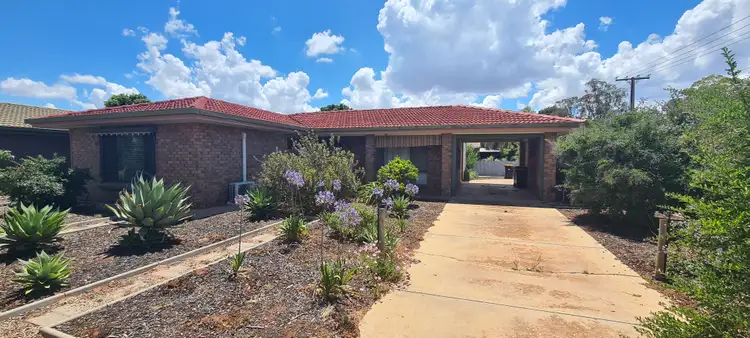 12 Tolarno Street, Renmark SA 5341